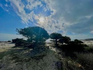 APPARTAMENTO LA CALETTA VACANZE img12