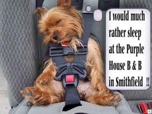 Purple House B&B Smithfield