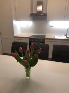 Apartman Oaza - Solin-Centar