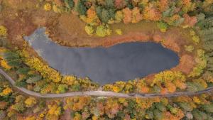 Maisons de vacances L'Orgeletaine : Grande Maison au milieu des Lacs du Jura : photos des chambres