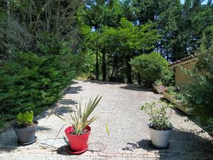 Maisons de vacances Gite en pleine nature - Parc, Piscine, Jacuzzi : photos des chambres