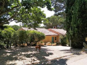 Maisons de vacances Gite en pleine nature - Parc, Piscine, Jacuzzi : photos des chambres