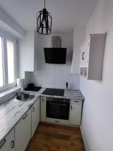 Apartament przy Zamku Krzyżackim