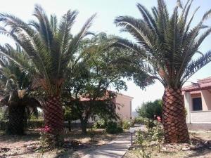 Bird Watching Oasis Skala Kallonis