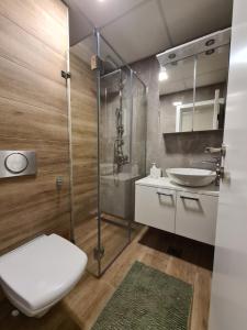 Apartmani Central 10 & free parking