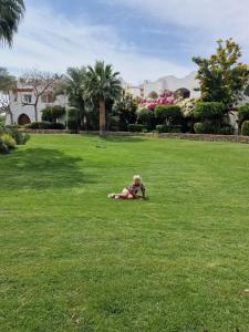 One-Bedroom Apartment in DOMINA CORAL BAY HAREM