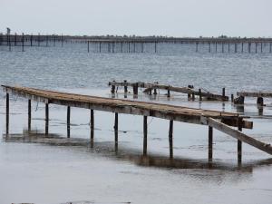 Appartement climatisé proche des Thermes à Balaruc-les-Bains - FR-1-503-57