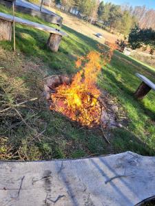 Oaza Spokoju Siecino