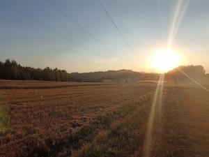 Górska Ostoja pole kempingowo- kamperowe