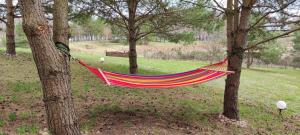 Oaza Spokoju Siecino