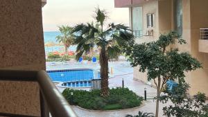 Casablanca beach resort, first line with private beach and swimming pools,