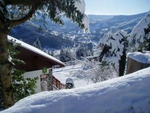Charmant chalet de montagne avec terrasse et vue imprenable - FR-1-589-72