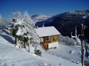 Maisons de vacances Gite Cornimont, 4 pieces, 6 personnes - FR-1-589-72 : photos des chambres