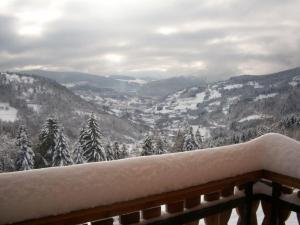 Charmant chalet de montagne avec terrasse et vue imprenable - FR-1-589-72