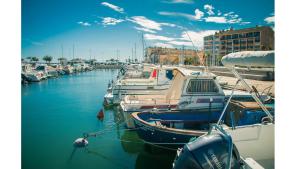 Appartements Superb studio with sea and harbor view : photos des chambres