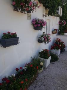 Apartments for families with children Sabunike, Zadar - 20828