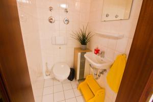 Ferienwohnung Tukan Apartment Dresden Laubegast WLAN TV Ebike