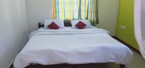 Green Land Estate Homestay 5 Rooms With Garden View