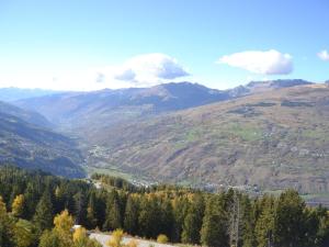Charmant 2 pièces 6 pers. aux Arcs 1800, proche pistes et commerces, animaux admis - FR-1-411-21
