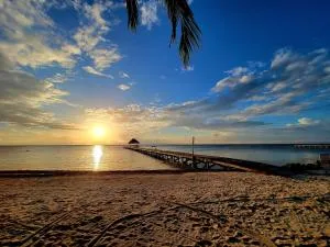 Three-Bedroom Apartment - Basil Jones