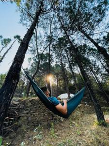 Forest Cabin Bugyal Stays