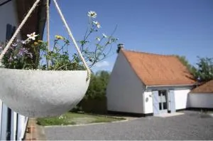 A l'ombre du prunier - Licques