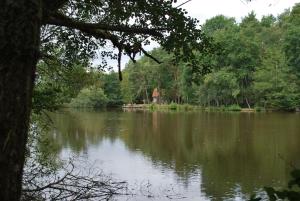 Maisons de vacances En Sologne, sur un etang perdu dans les bois : photos des chambres