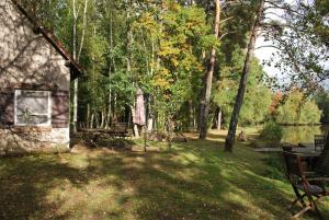 Maisons de vacances En Sologne, sur un etang perdu dans les bois : photos des chambres