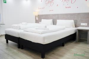 Economy Double or Twin Room room in Hotel Wiesental