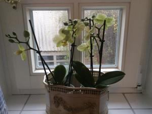 Ferienwohnung Haumannshof