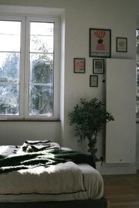 B&B / Chambres d'hotes Maison Farol : photos des chambres