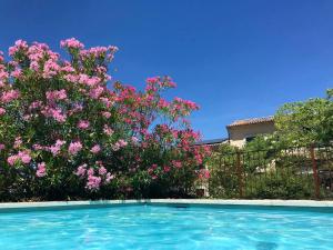Villas Villa spacieuse avec piscine a Saint-Michel-d'Euzet : photos des chambres