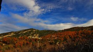 Archontiko Panagoula Pelion Greece