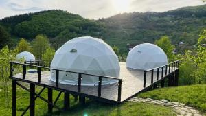 The Grand Prestige Igloo