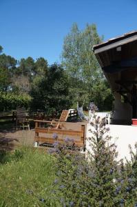 Maisons de vacances Authentic country house - Vagues de Foret : photos des chambres