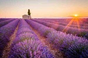Maisons de vacances Magnifique Guest house proches des lacs du Verdon : photos des chambres