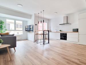 SUITE EGIA APARTMENT san sebastian donostia