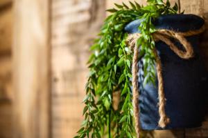 Cosmo ideal famille rue Carnot