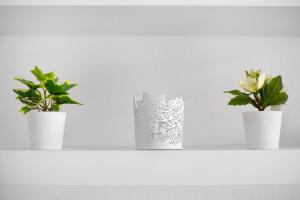 Apartamento Playa Morro Jable 1c