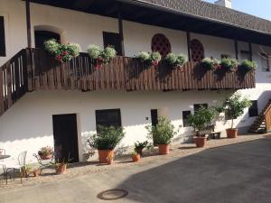 Stylische Gartenwohnung mit Bergblick