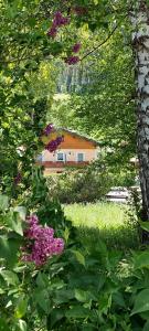 Appartements Haus Bergland