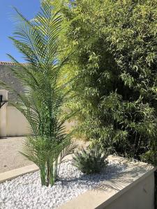 Maisons de vacances Beautiful renovated farmhouse with private heated pool. : photos des chambres