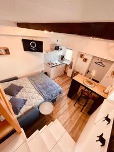 Appartements Charmant studio renove et equipe : photos des chambres