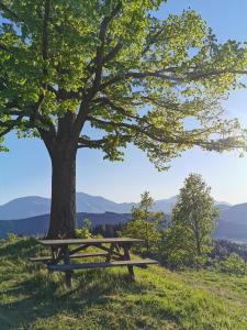 Villa Richterberg with Sauna & Hot Tub