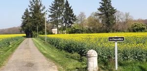 Maisons de vacances La Chauvelliere, un ecrin de verdure dans un cadre historique : photos des chambres