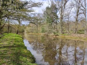 Maisons de vacances Charnay Mery , une exceptionnelle maison de vacances au calme cote foret avec piscine : photos des chambres