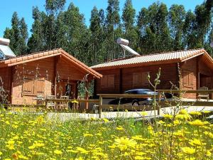 Cozy studio in Figueiró dos Vinhos 56 m² with shared pool