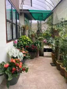 New Famer Hut 2 - 金马仑高原