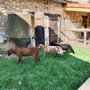 Maisons de vacances Maison a la ferme : photos des chambres