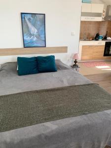 Penthouse Prvic Luka